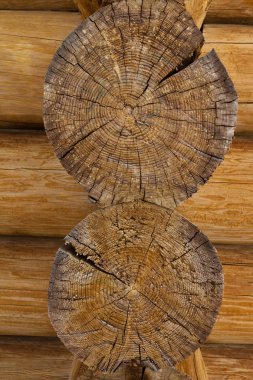 Auschwitz 'de bir kasaba.