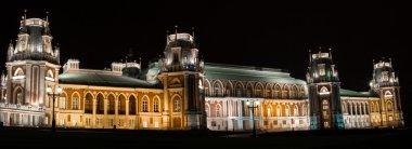 Tsaritsyno Sarayı