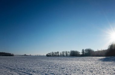 Soğuk bir günde tarla üzerinde kar bulunan kış manzarası. Ağaçların üzerinde güzel güneş ve güneş ışığı. Fotoğraf: Skne, İsveç.