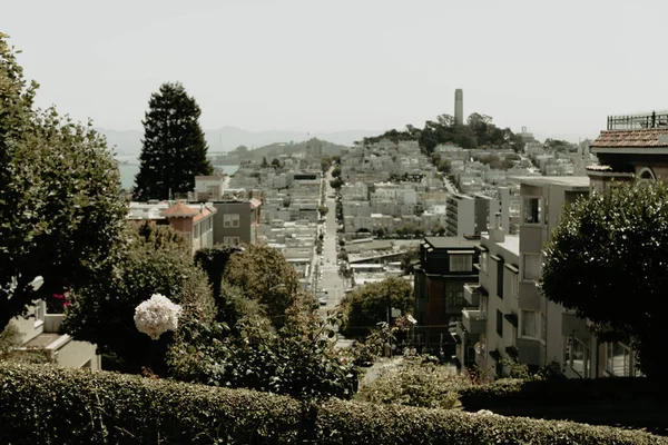 San Francisco City Skyline Summer Day Photo Cityscape Urban Skyline — Stock Photo, Image