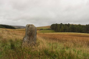 Cateran Patikası, Perthshire 'da 64 mil uzunluğunda dairesel bir uzun mesafe yürüyüşüdür. Blairgowrie 'de başlar ve biter ve çok iyi işaretlenmiştir. Fotoğraf bataklıktaki bir kayayı gösteriyor. Enochdu ve Glenshee 'li Spittal arasında..