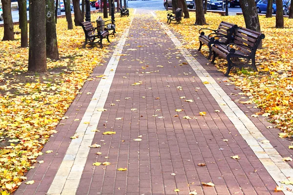 Country road running through autumn alley — Stock Photo, Image