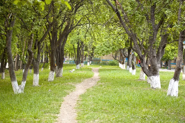 Road in the garden — Stock Photo, Image