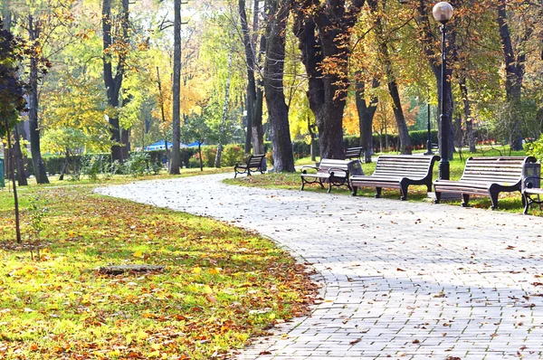 Country road running through autumn alley — Stock Photo, Image