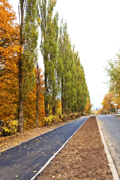 Droga asfaltowa w parku jesień — Zdjęcie stockowe