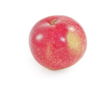 Tek Kırmızı elma