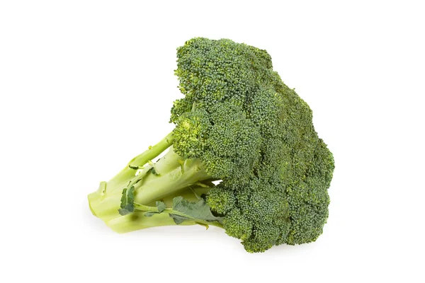 Brokolice — Stock fotografie