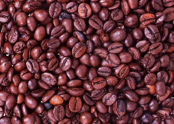Latar belakang biji kopi — Stok Foto