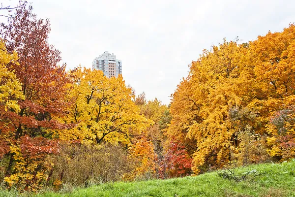 Autumn park — Stock Photo, Image