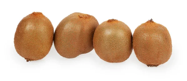 Quatre kiwis d'affilée — Photo