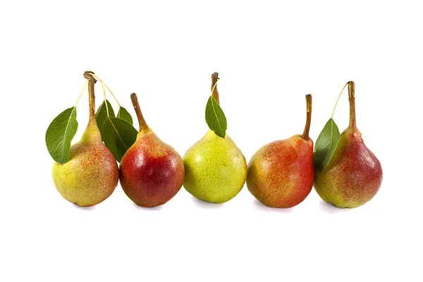 Fem färska söta päron i linje — Stockfoto