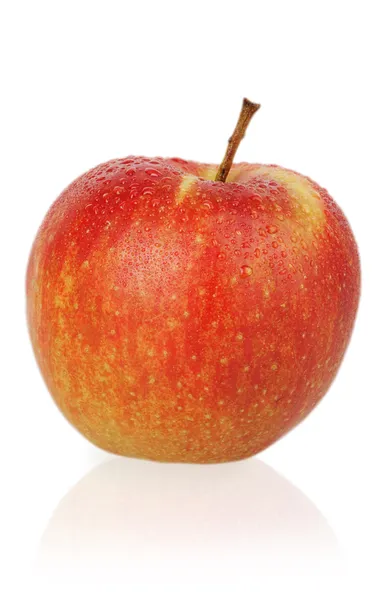Całe jabłko — Zdjęcie stockowe