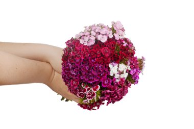 Karanfil Türk kadın elinde buket