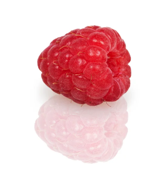 Fresh red raspberry — Stock Photo, Image