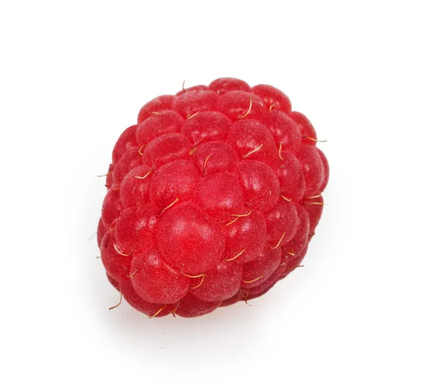 Fresh red raspberry — Stock Photo, Image