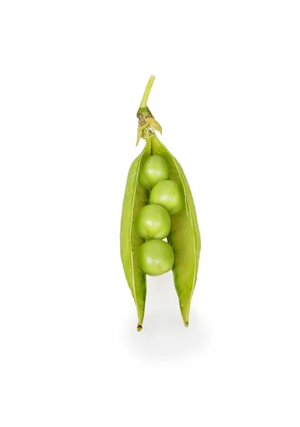 Open pod with peas — Stock Photo, Image