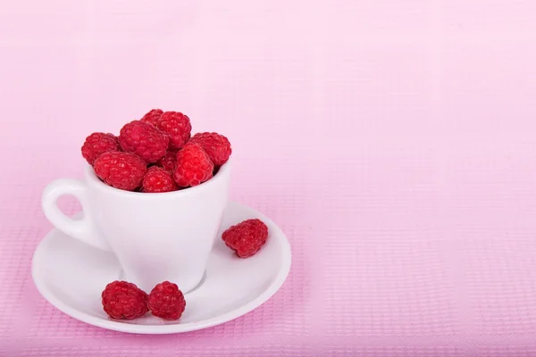 Fresh raspberries in a white cup — Stock Photo, Image