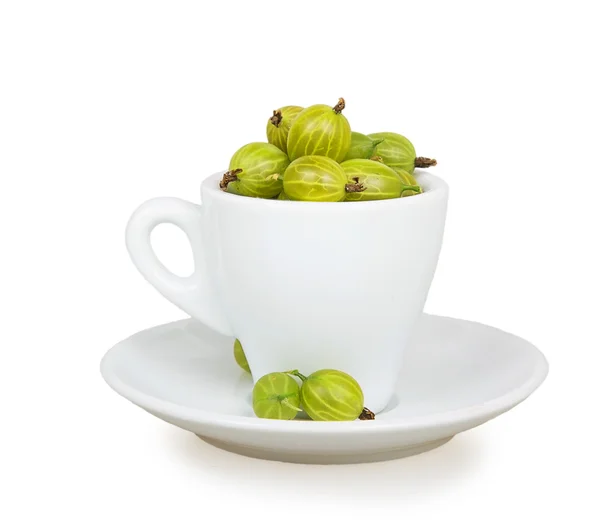 Gooseberries in white cup and saucer — Stock Photo, Image