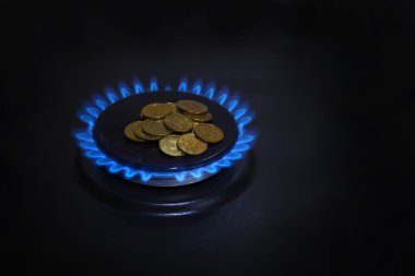 Doğalgaz yakıcı bir gaz mavi alev