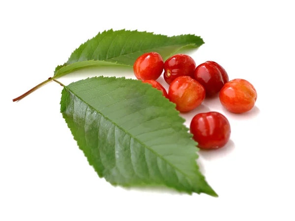 Sweet cherries I — Stock Photo, Image