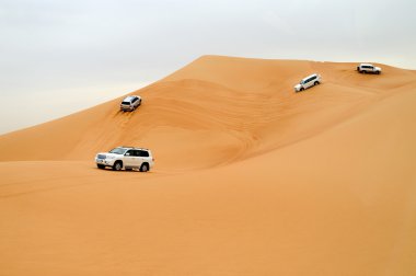 Dubai. çöl sürüş