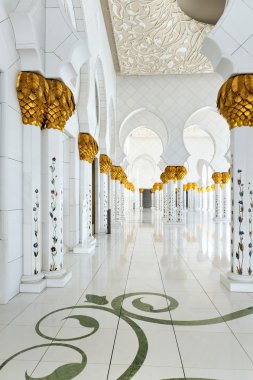 Abu-Dabi. Sheikh zayed Camisi