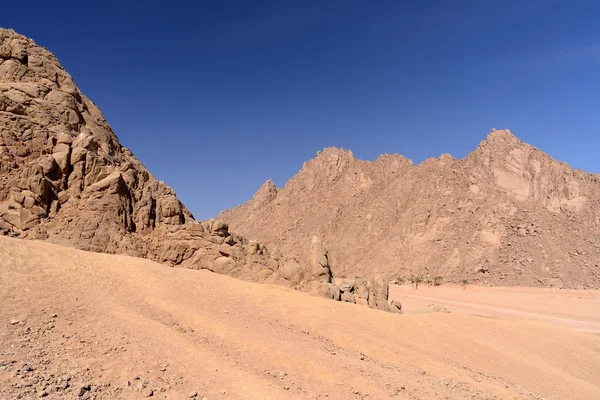 Woestijn van de Sinai — Stockfoto