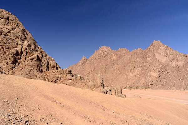 Sinai desert