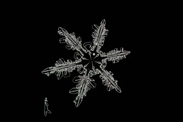 Closeup Extremo Floco Neve Natural — Fotografia de Stock