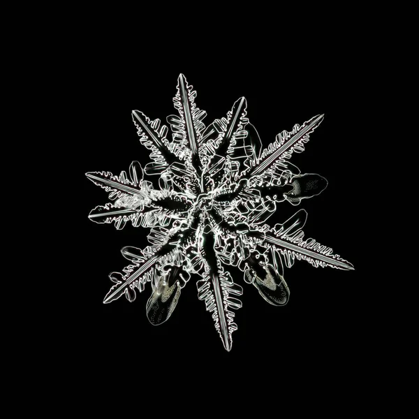 Ακραία Closeup Φυσικό Νιφάδα Χιονιού — Φωτογραφία Αρχείου