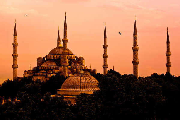The Blue Mosque, Istanbul, Turkey