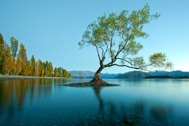 renkli göl wanaka, Yeni Zelanda