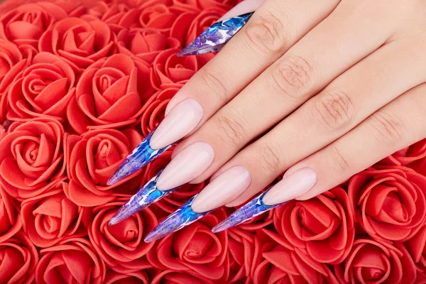 Mano Con Lunghe Unghie Artificiali Blu Francese Curate Fiori Rose — Foto Stock