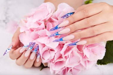 Uzun, yapay, mavi, manikürlü ve pembe Hortensiya çiçekli eller. Moda ve şık manikür.