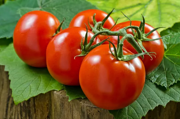 Red Tomatos — Stock Photo, Image