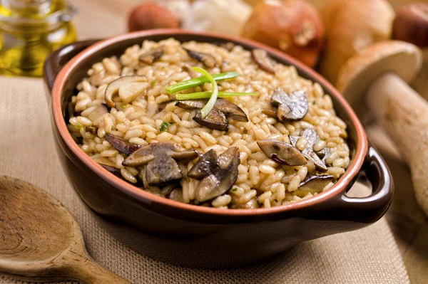 Yaban mantarlı risotto — Stok fotoğraf