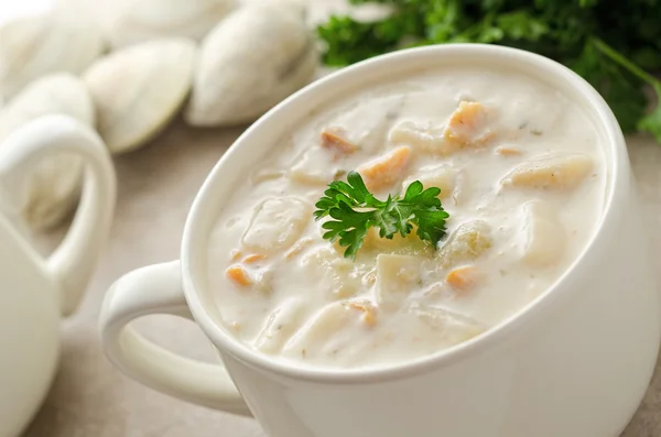 Chowder de almejas de Nueva Inglaterra — Foto de Stock