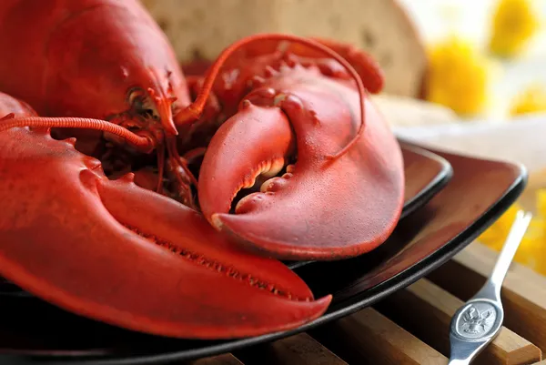 Cena all'aragosta — Foto Stock