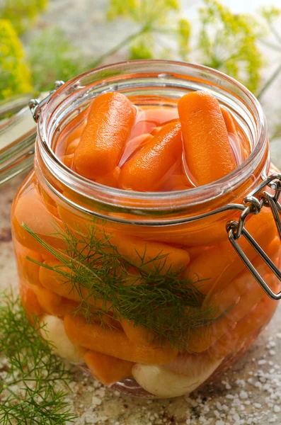 Pickled Carrots — Stock Photo, Image