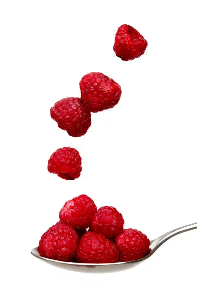 Raspberries on a spoon isolated on a white background — Stock Photo, Image