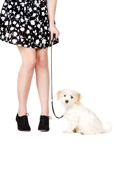 Cachorro al lado de las piernas de una mujer sobre un plomo negro — Foto de Stock