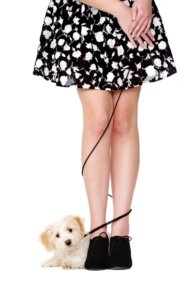 Bir köpek yavrusu siyah yol ile karışık Bayan bacaklar