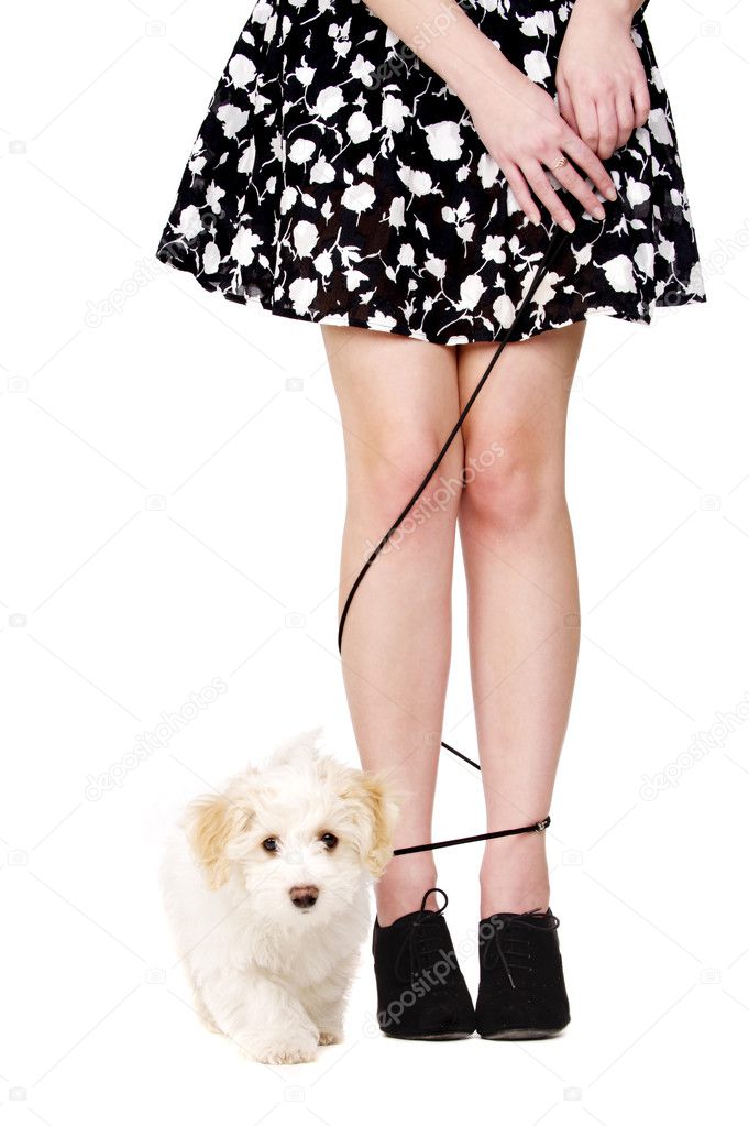 Lady's legs tangled with a puppy on a black lead