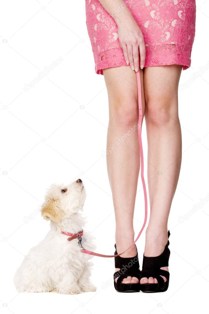 Puppy sat looking up at woman wearing a pink skirt