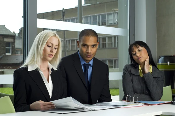 Work colleagues at a meeting — Stock Photo, Image