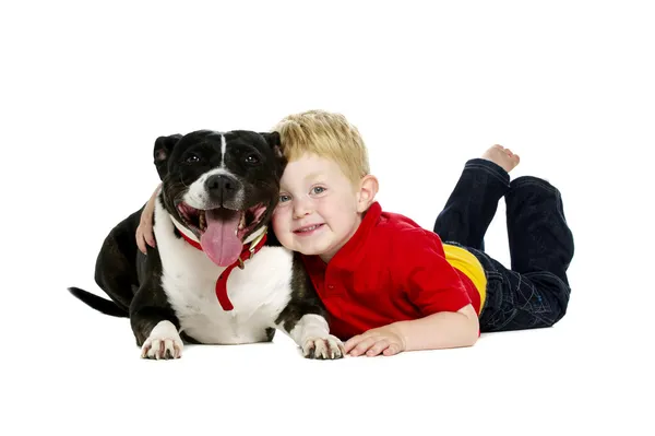 genç bir çocuk ve beyaz bir arka plan üzerinde izole köpek