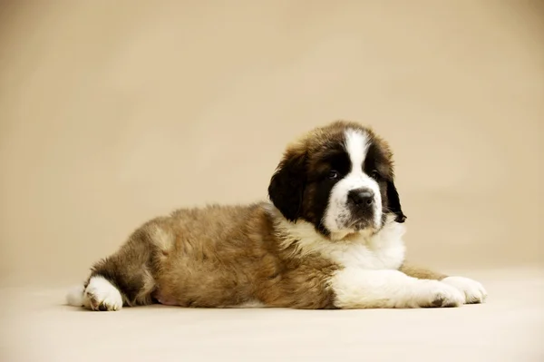 Schwarz-silberner Wecker — Stockfoto