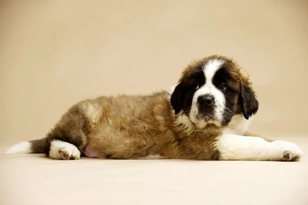 Schwarz-silberner Wecker — Stockfoto