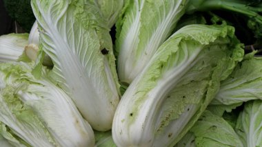 Geleneksel pazarda hardal yeşili