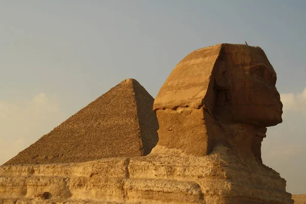 Head of the sphinx and Cheops pyramid — Stok fotoğraf
